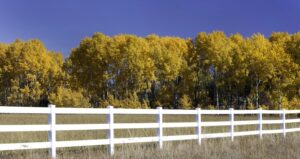 Fence-Line-Clearing