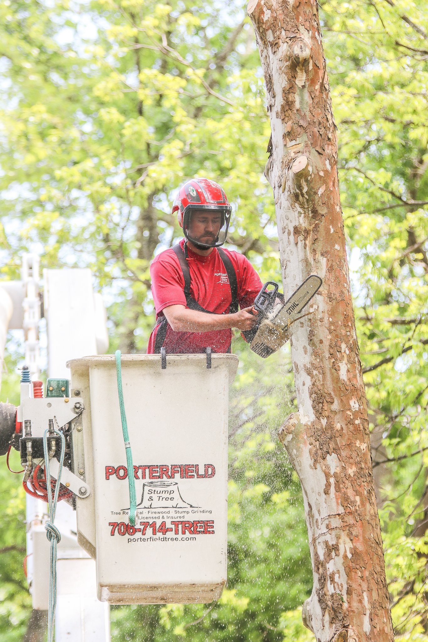 A crew member in a bucket lift removing a tree in Apalachee
