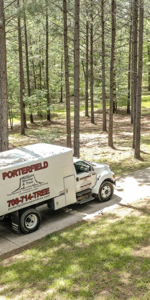 A white Porterfield Stump & Tree service truck parked on a driveway near a dense grove of pine trees in Bishop, GA.