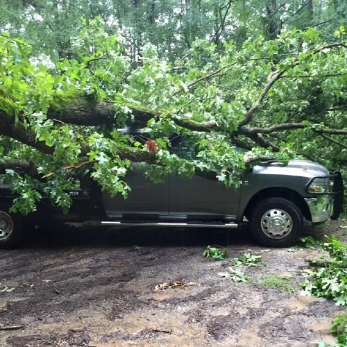 A large fallen oak tree branch resting on a grey pickup truck, demonstrating the need for emergency tree removal services in Bishop, Georgia.