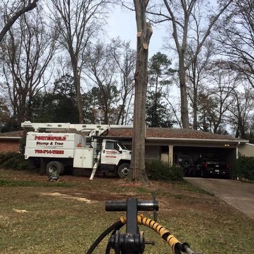 A Porterfield service truck with a bucket lift parked in a residential driveway in Bostwick, GA, preparing to remove a large hazardous tree near a home.