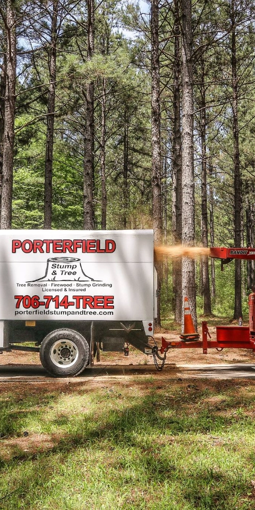 A Porterfield Stump & Tree service truck collecting wood chips from a Bandit wood chipper during a tree removal project in Buckhead, GA.