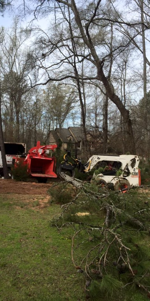 A white Bobcat A300 skid steer uses a grapple attachment to clear fallen branches and debris from a grassy lawn. In the background, a large red wood chipper is ready for processing, with a residential home visible through the thinning winter trees.