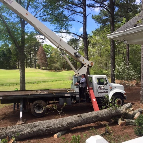 A white crane truck with its boom extended is positioned next to a house to assist in removing large tree trunks. A worker operates the machinery from the side of the truck while several large, felled logs lie on the ground in a pine-straw-covered yard.