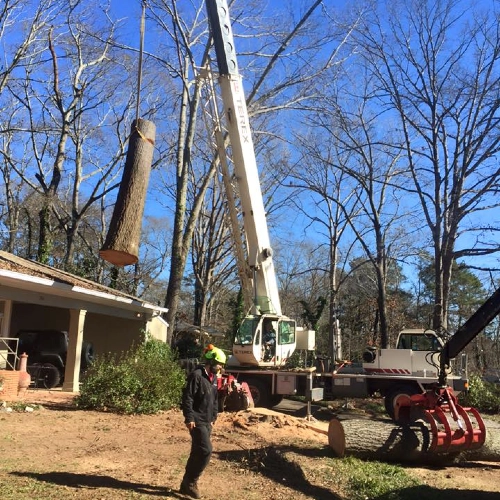 A large white crane lifts a massive log section over a residential property in Loganville while a ground crew member coordinates the drop.