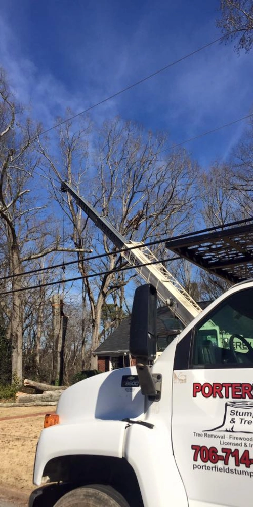 A side profile of a white Porterfield Stump & Tree service truck with its crane boom extended into a canopy of dormant trees. The image shows the equipment positioned on a residential street for a large-scale tree removal project.