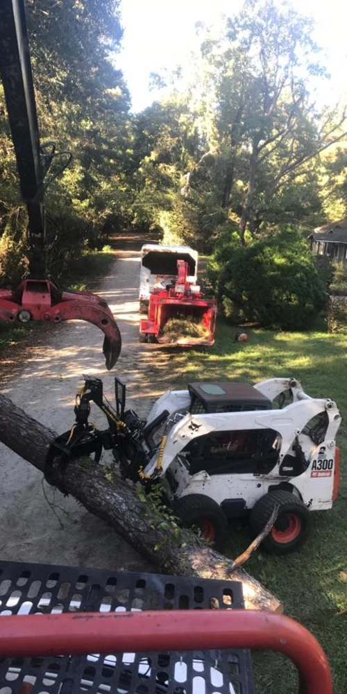 High-angle view of a white Bobcat A300 skid steer with a grapple attachment moving a large tree trunk on a grassy lawn. In the background, a red wood chipper and service truck are positioned on a dirt path surrounded by dense woods.