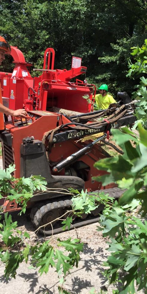 A Porterfield crew member operating a red wood chipper and compact loader to process tree limbs and debris during a tree care project in Rutledge.