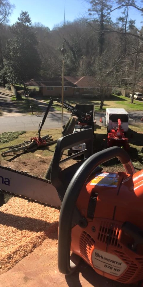 View from a tree canopy showing a Husqvarna chainsaw in the foreground and a grapple truck loading logs in a residential Watkinsville neighborhood.