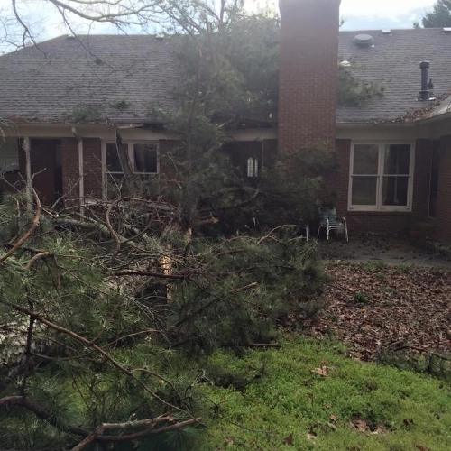 Extensive storm damage showing a large pine tree that has crashed through the roof of a brick house near the chimney. Debris and pine branches cover the backyard and patio area, requiring professional emergency clearing.