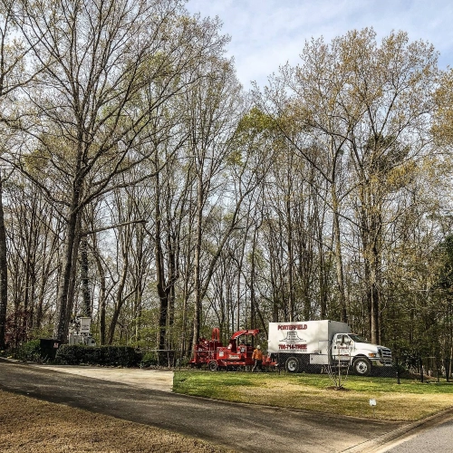 Porterfield Stump & Tree service trucks and chipping equipment stationed along a wooded driveway for a large-scale project in Loganville, Georgia.