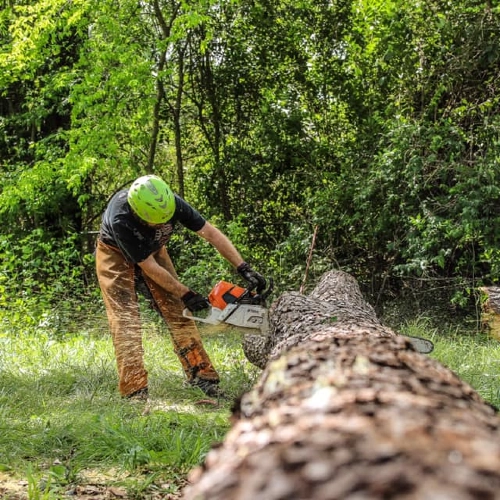 An action shot on the ground, a trained technician wearing a lime green helmet and orange chaps operates a powerful chainsaw to log a massive downed trunk in an Atlanta backyard.